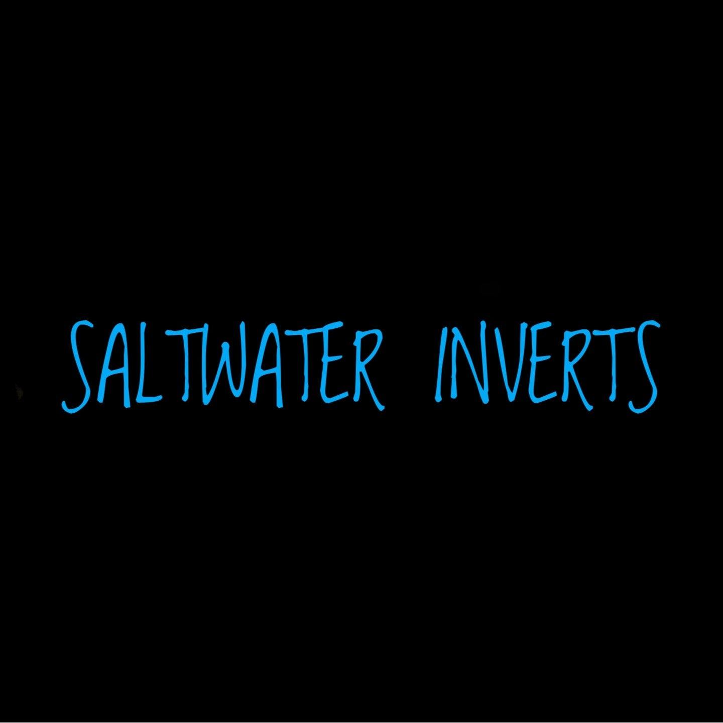 Saltwater Inverts