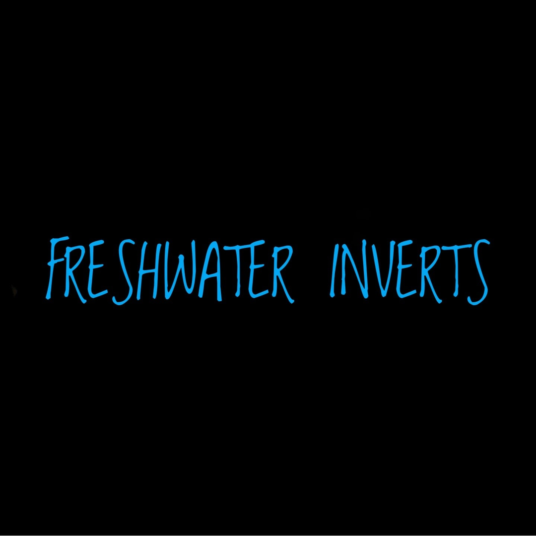 Freshwater Inverts