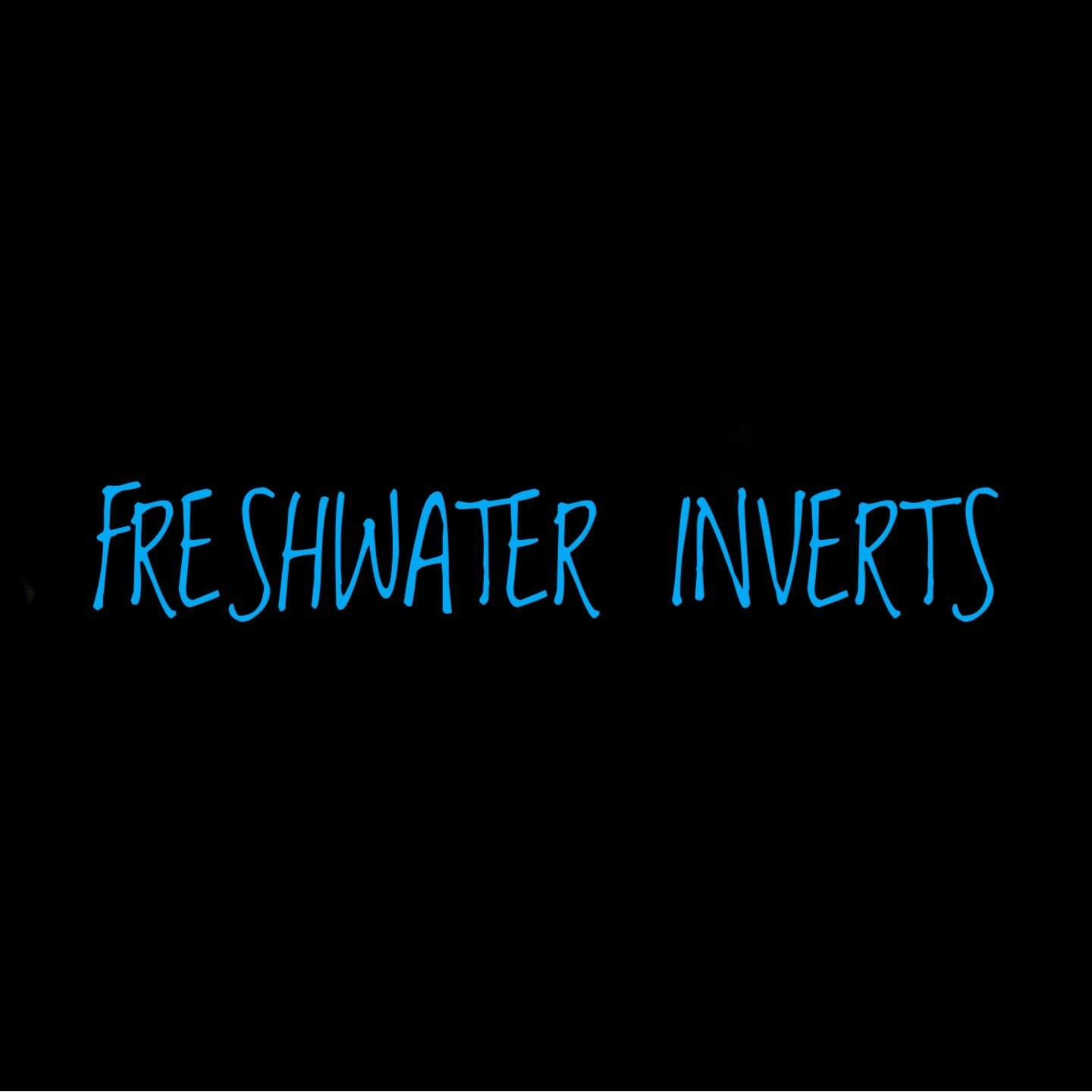 Freshwater Inverts