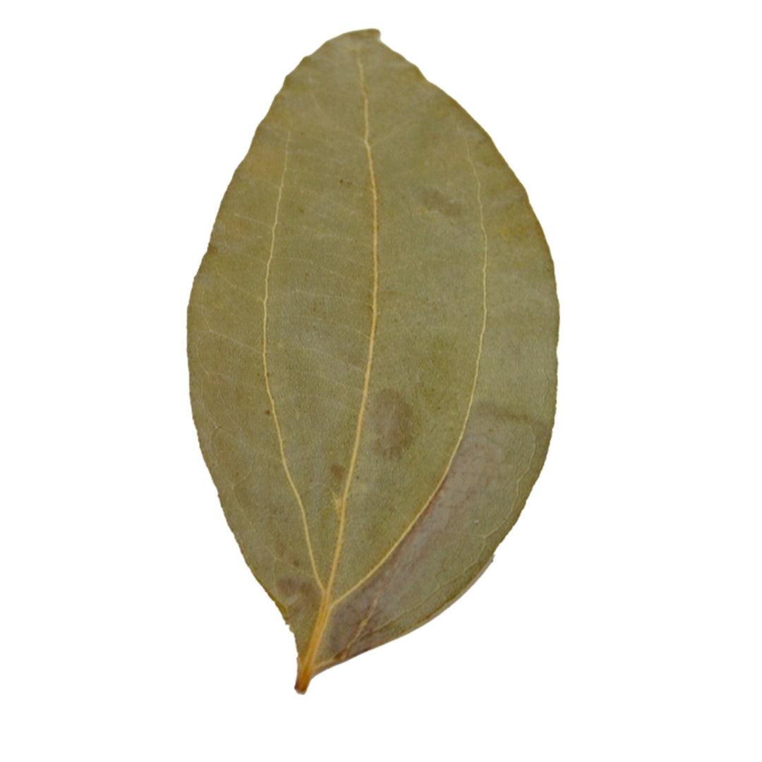 HydrOasis Cinnamon Leaves