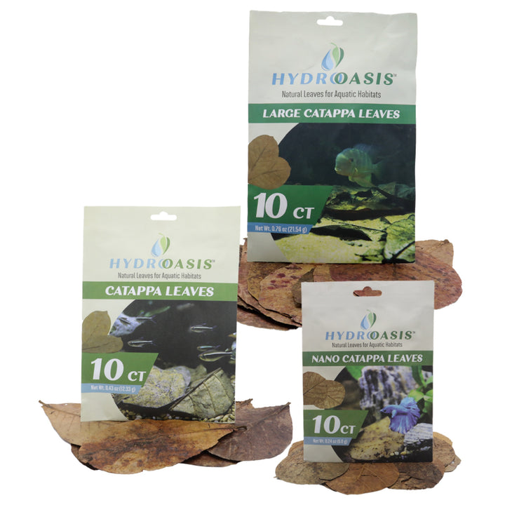 HydrOasis Catappa Leaves
