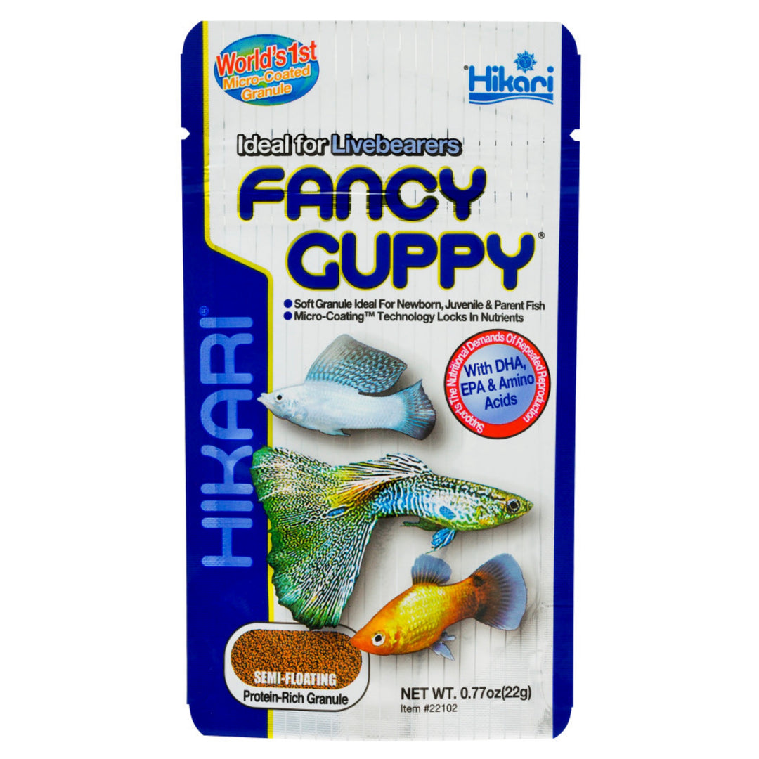 Hikari Fancy Guppy