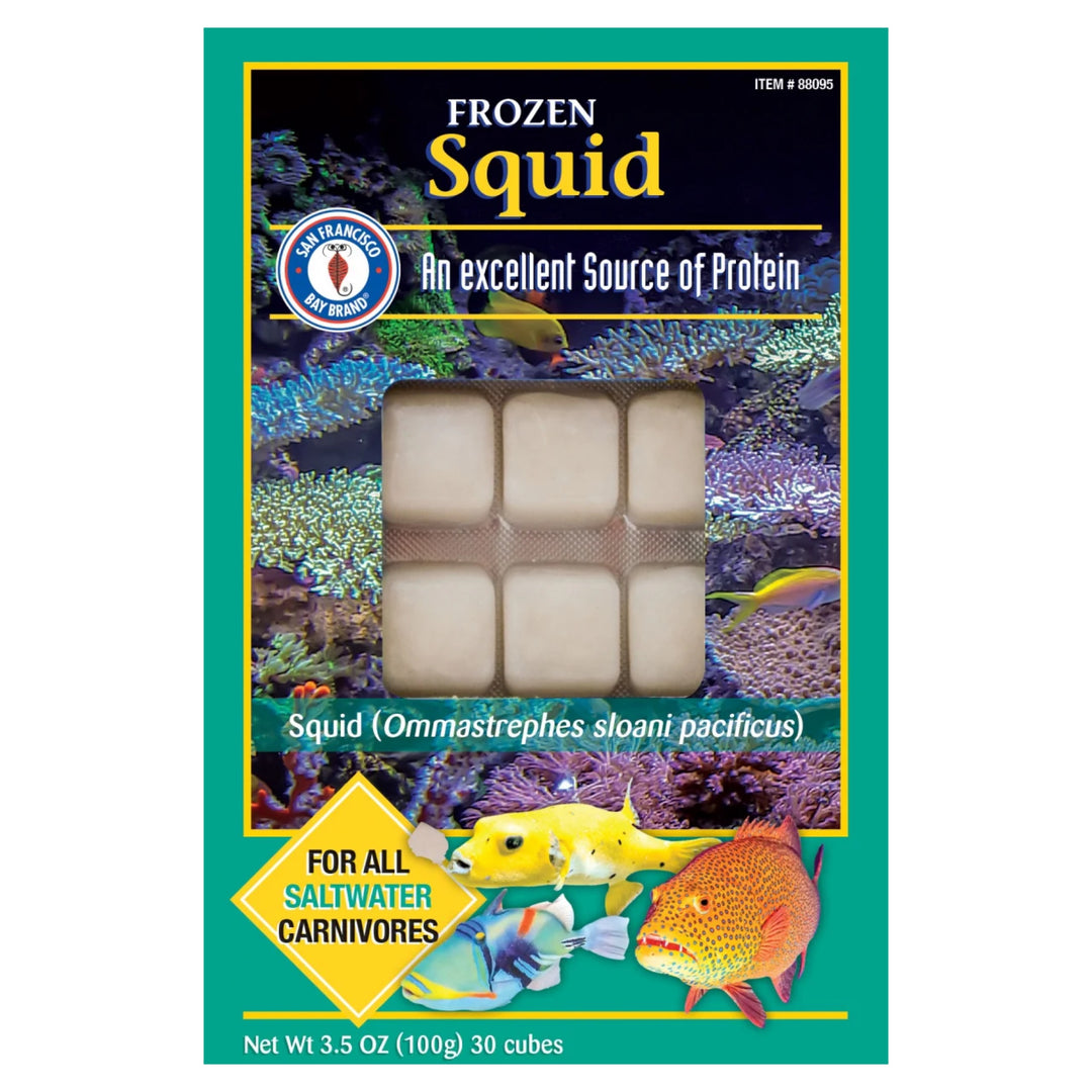 San Francisco Bay Brand Frozen Squid