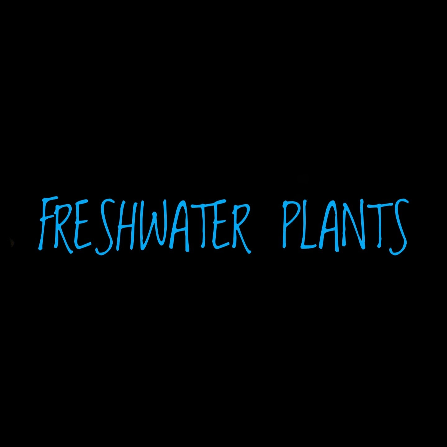 Freshwater Plants
