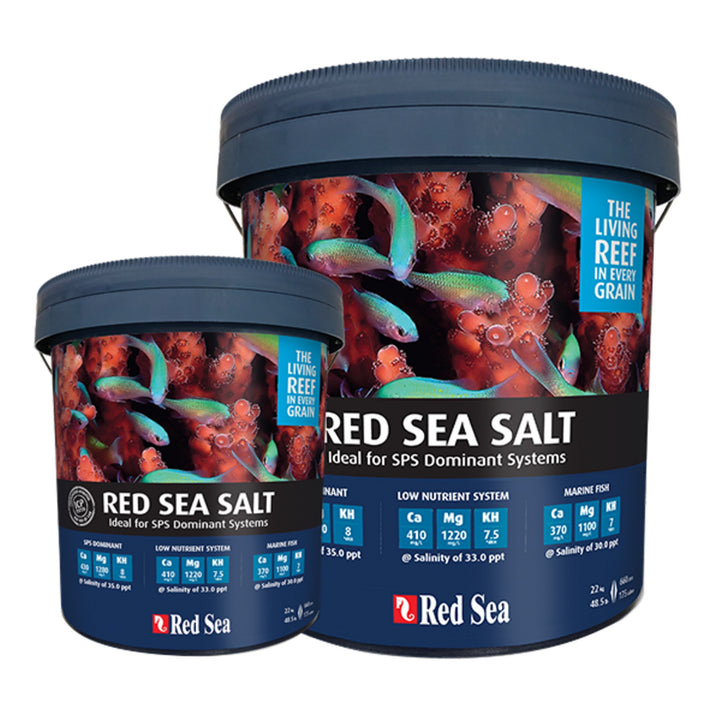 Red Sea Salt