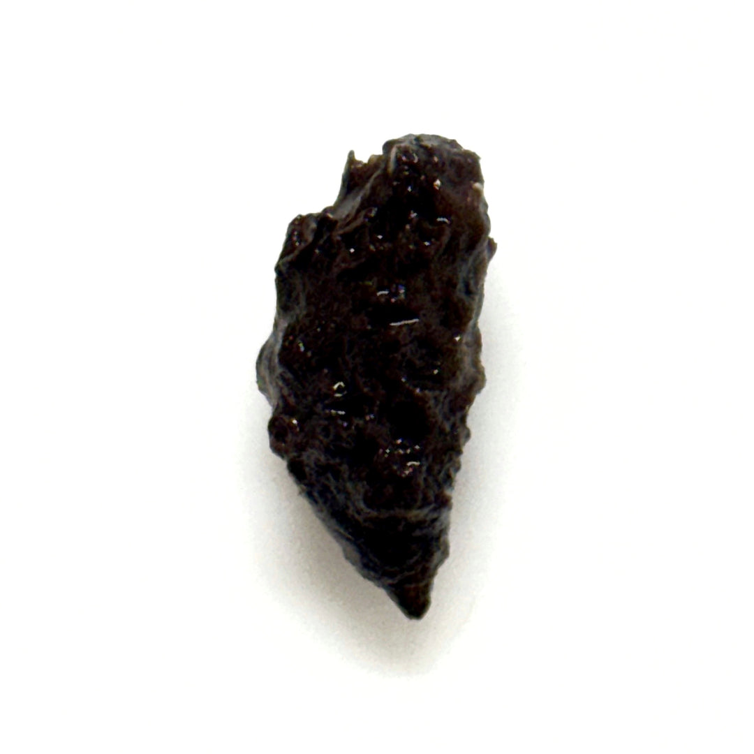Barclaya Longifolia