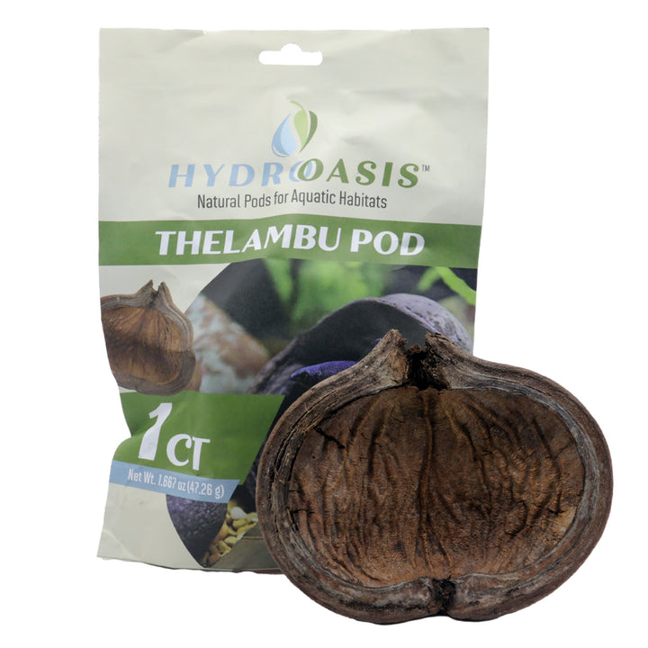 HydrOasis Thelambu Pod