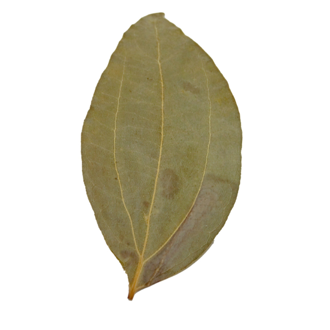 HydrOasis Cinnamon Leaves