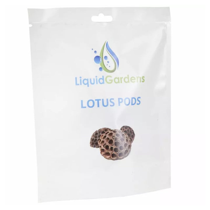 Liquid Gardens Lotus Pods 3pk