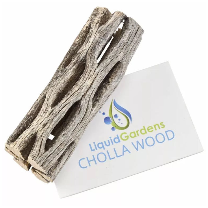 Liquid Gardens Cholla Wood