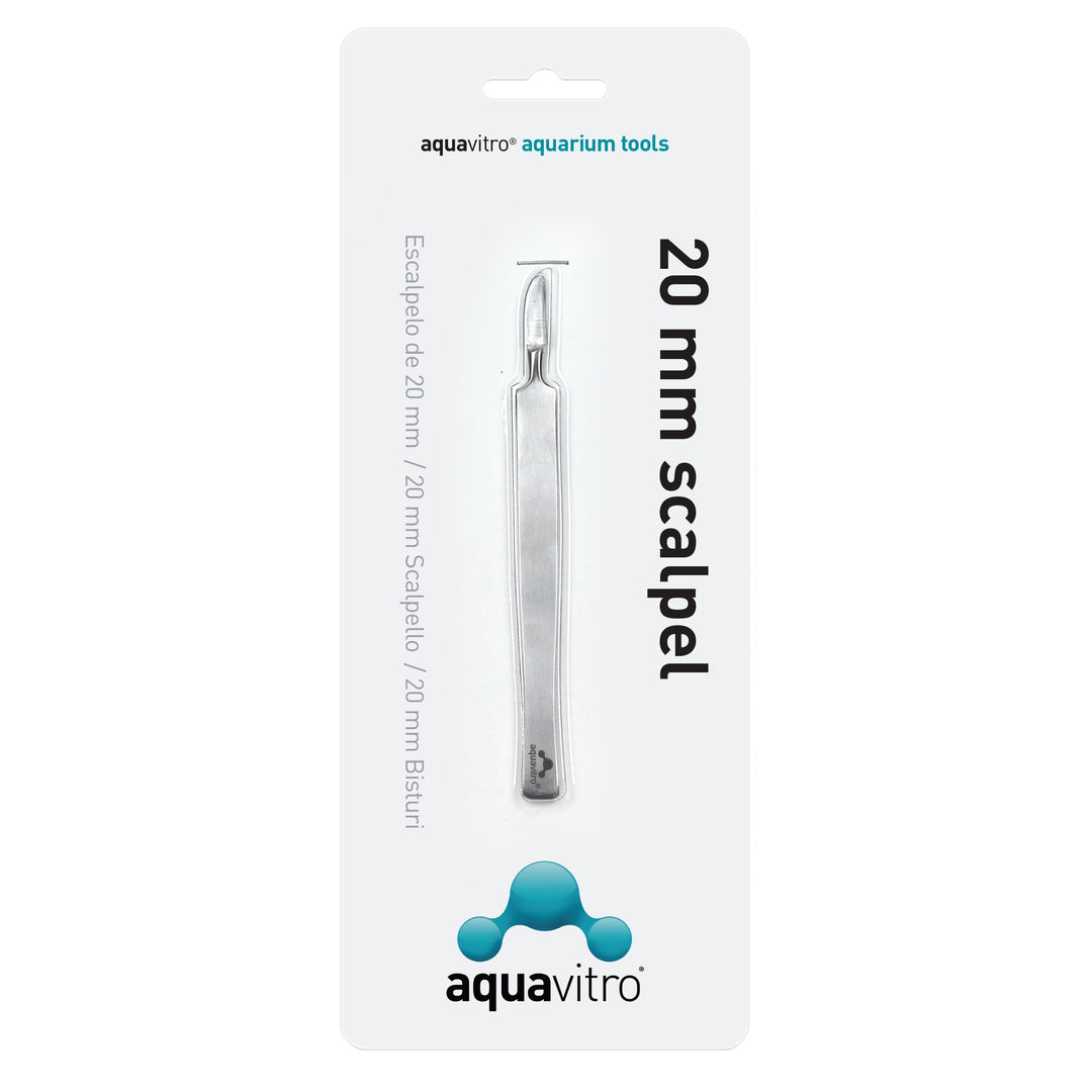 Scalpello 20 MM Premium Butt Chisel per Falegnameria | Acciaio Cr-V Scalpello 20 MM Premium Butt Chisel per Falegnameria | Acciaio Cr-V