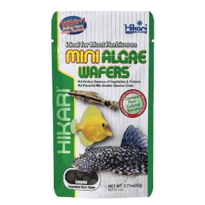 Hikari Mini Algae Wafers